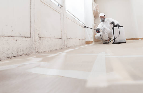24/7 Emergency Mold Removal experts in Bartlett, TX